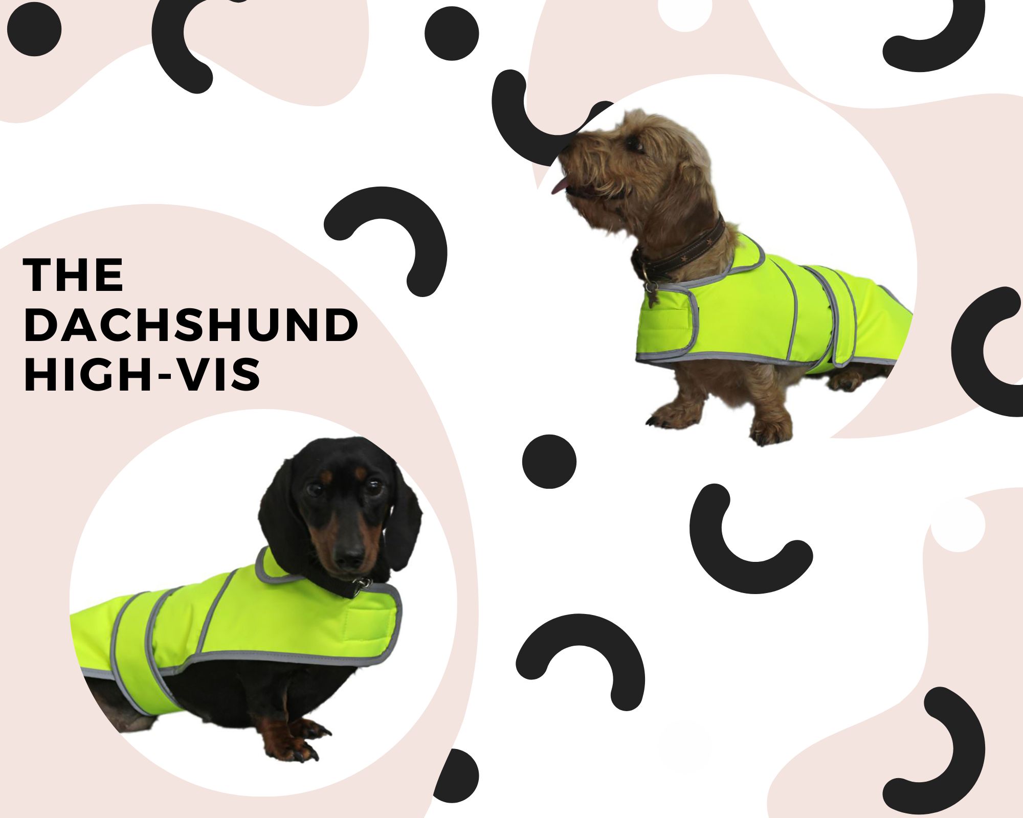The Dachshund Highvis coat